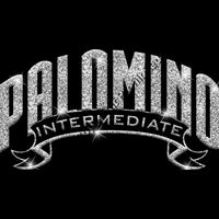 GLT37 SILVER GLITTER Thumbnail