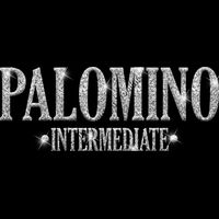 GLT21 SILVER GLITTER Thumbnail